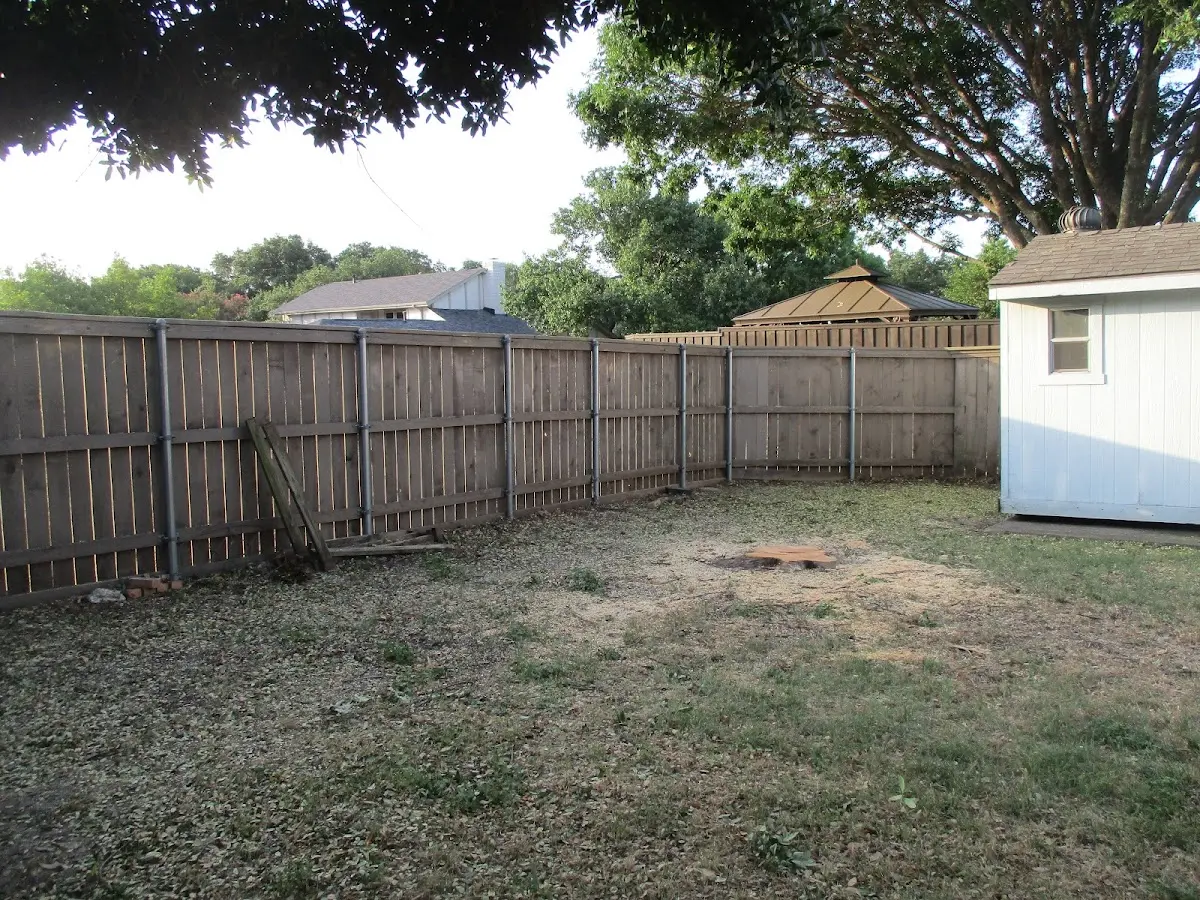 Cleared yard after professional tree removal in Southfield