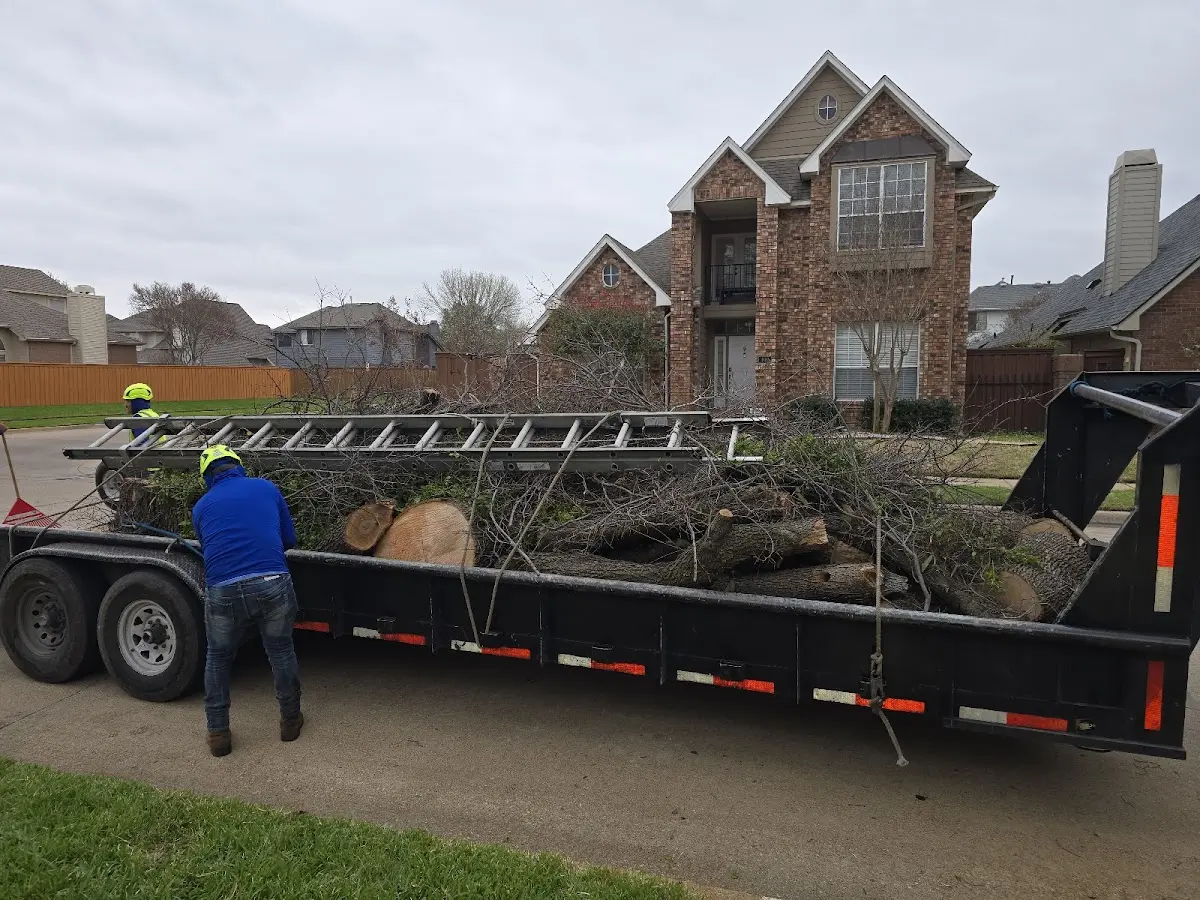 Expert Tree Fertilization with proper safety equipment in Southfield